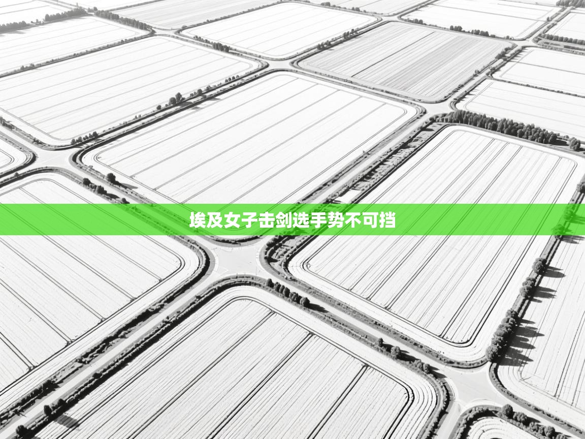 开云体育app下载官网-埃及女子击剑选手势不可挡  第4张