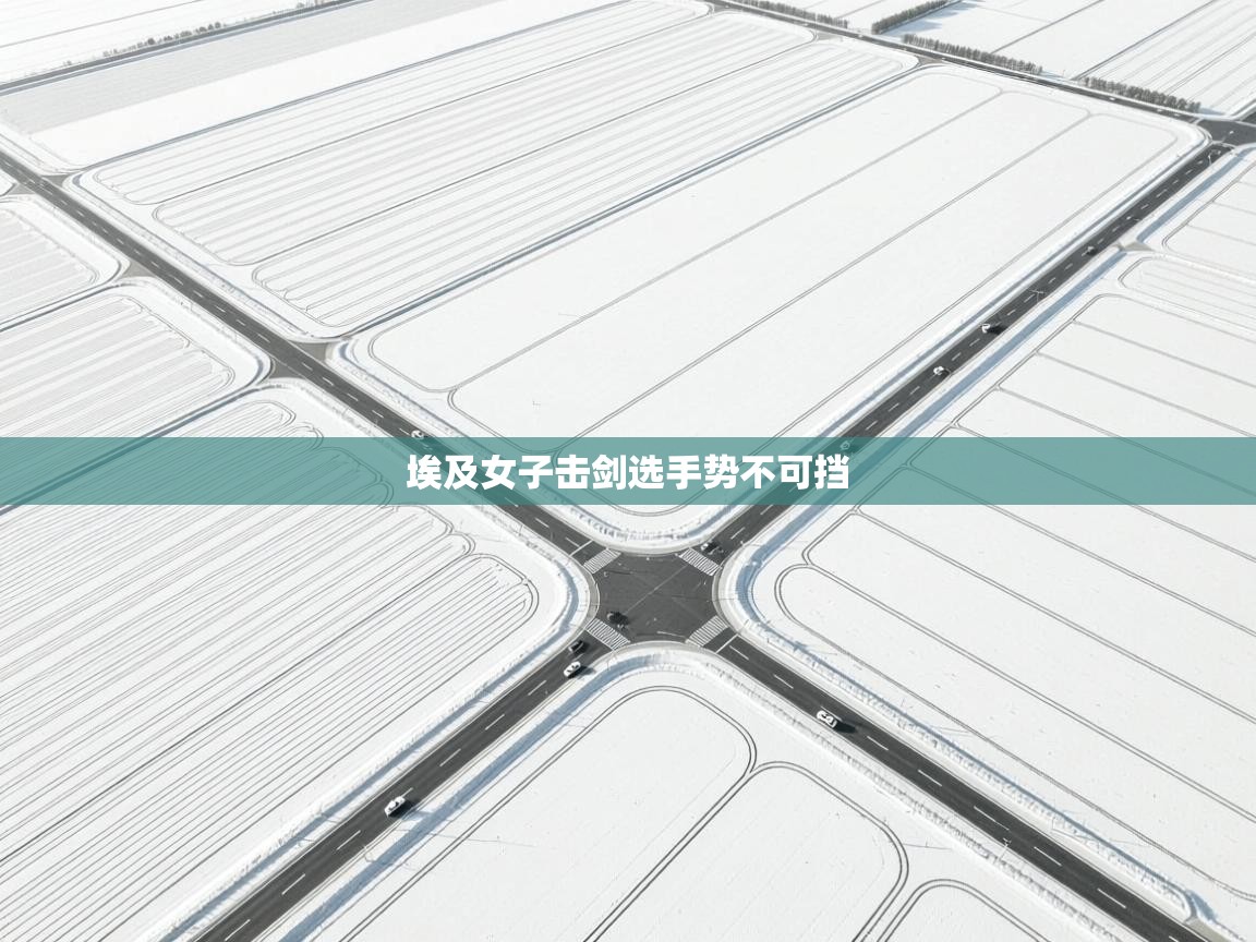 开云体育app下载官网-埃及女子击剑选手势不可挡  第3张