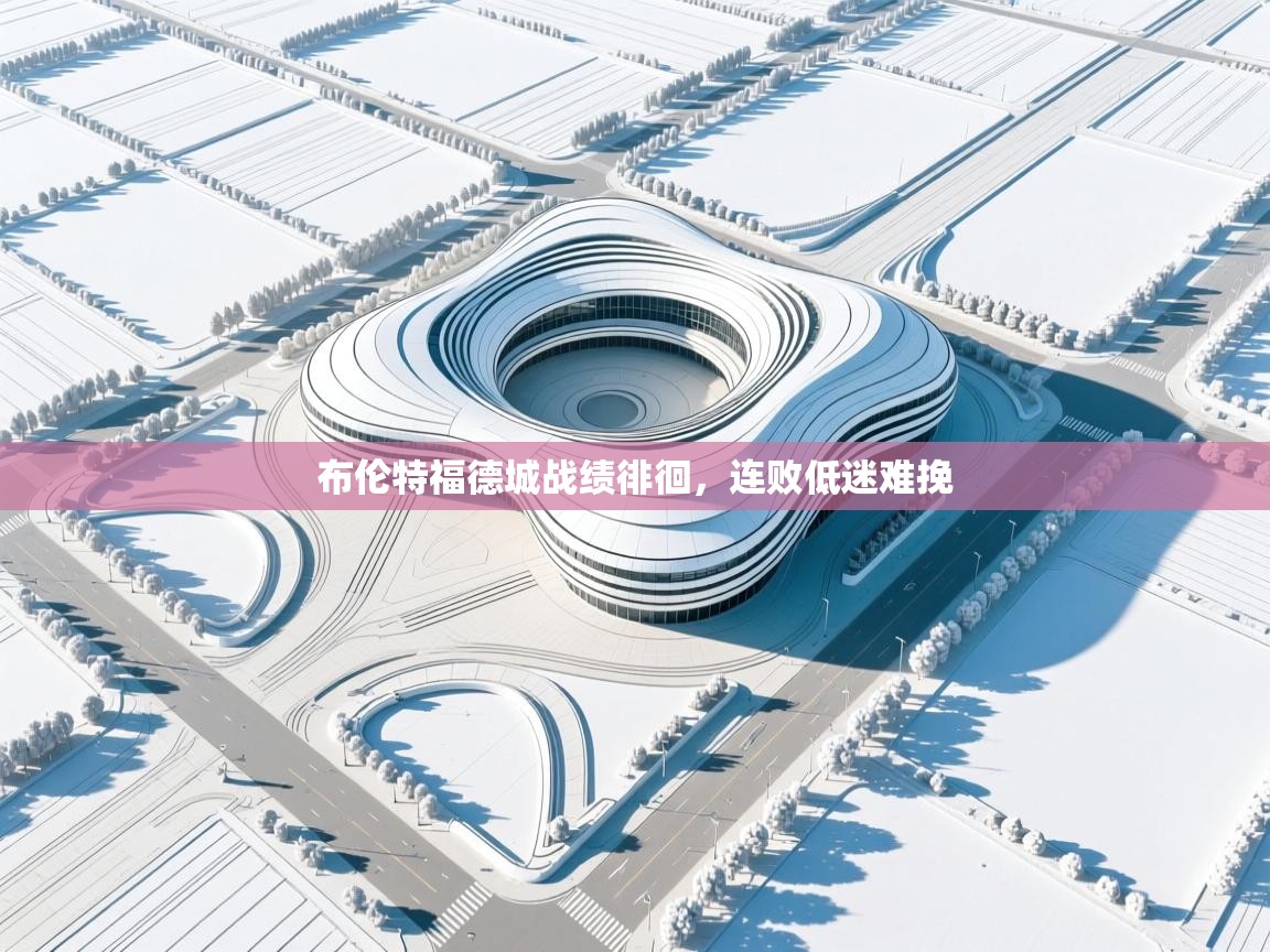 开云体育赛事比分直播-布伦特福德城战绩徘徊，连败低迷难挽  第3张