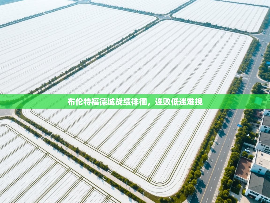 开云体育赛事比分直播-布伦特福德城战绩徘徊，连败低迷难挽  第4张