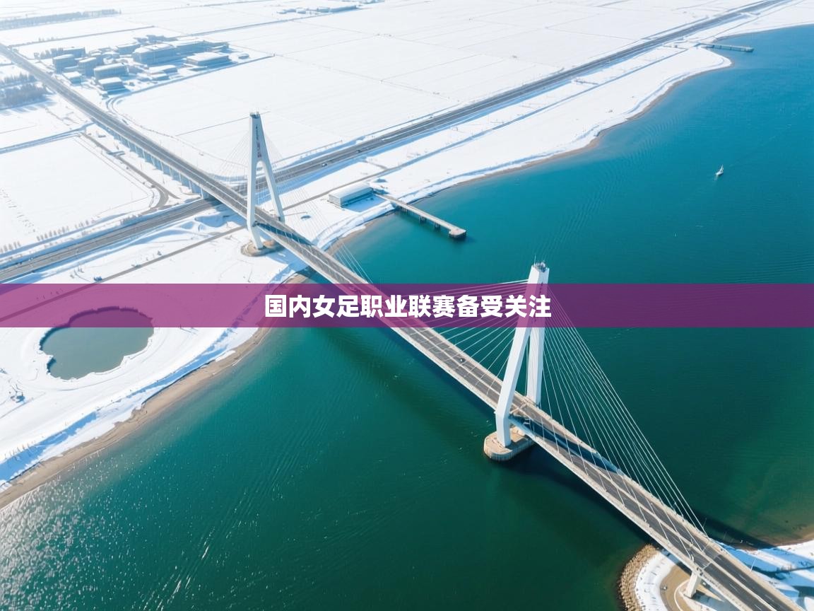 云开体育入口-国内女足职业联赛备受关注  第1张