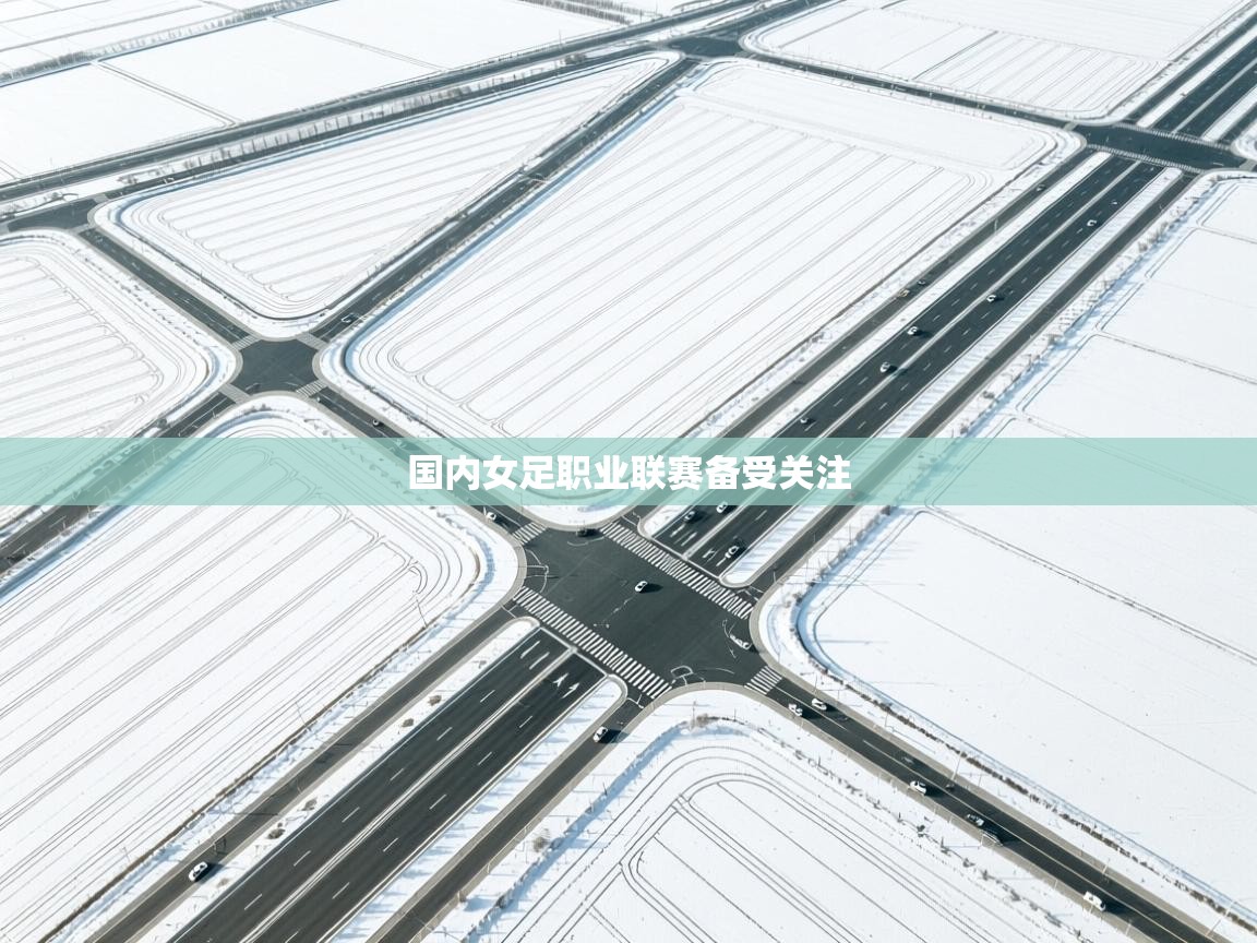 云开体育入口-国内女足职业联赛备受关注  第3张