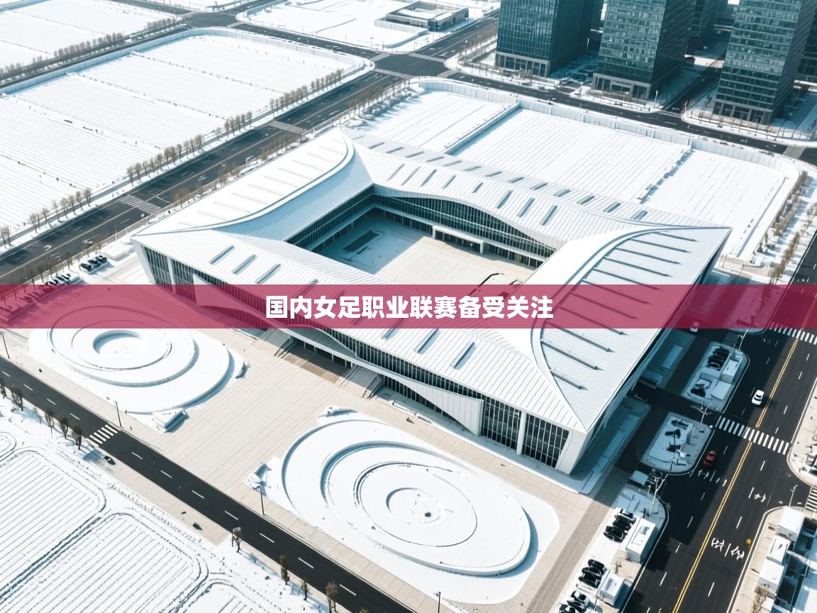 云开体育入口-国内女足职业联赛备受关注  第4张