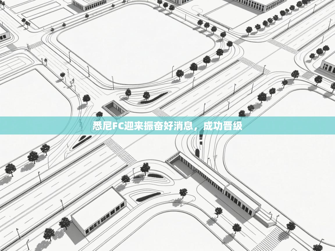 开云体育app安装-悉尼FC迎来振奋好消息，成功晋级  第1张