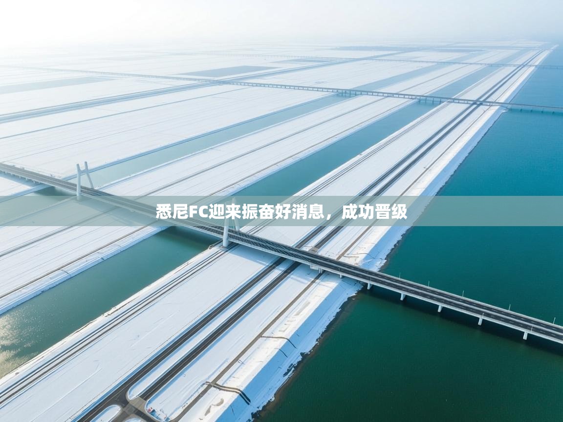 开云体育app安装-悉尼FC迎来振奋好消息，成功晋级  第2张