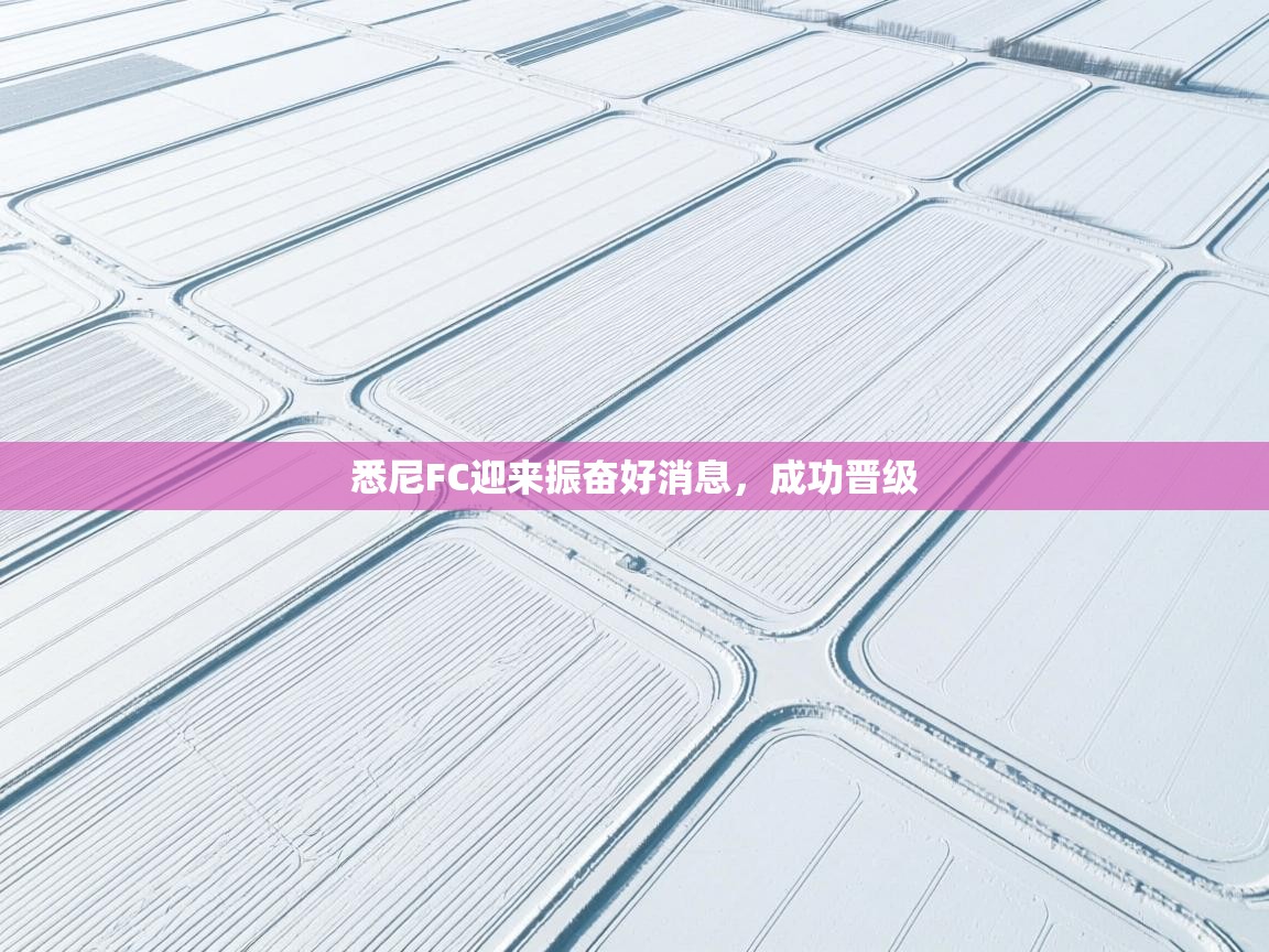 开云体育app安装-悉尼FC迎来振奋好消息，成功晋级  第4张