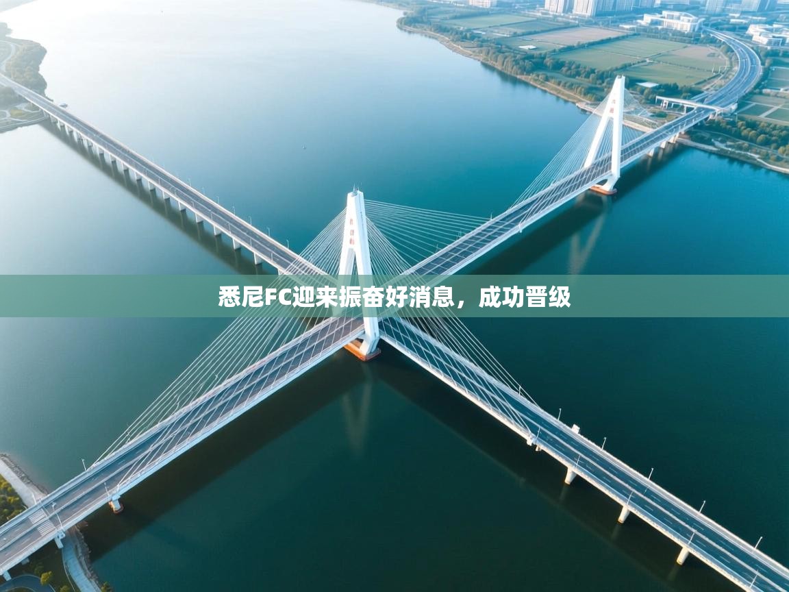 开云体育app安装-悉尼FC迎来振奋好消息，成功晋级  第3张